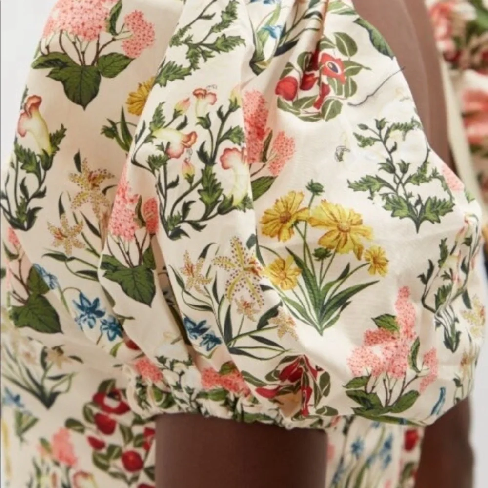 Agua by Agua Bendita Manzanilla Magdalena Amane puff sleeve dress 💕 🌹 - Picture 7 of 9